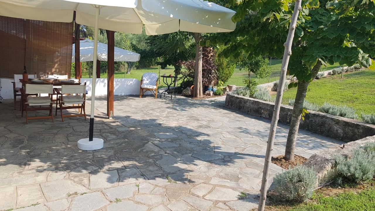 Konstantinos'S Luxury Residence Sani Sani  Exterior photo