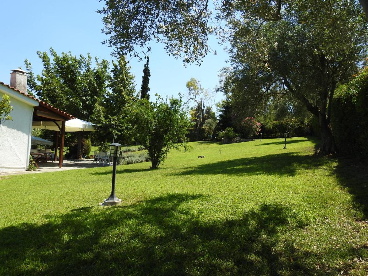 Konstantinos'S Luxury Residence Sani Sani  Exterior photo